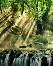 <a href="https://truenaturetravels.com/destinations/costa-rica-yoga-retreats/">Costa Rica</a>