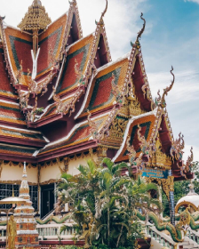 <a href="https://truenaturetravels.com/destinations/thailand-yoga-retreats/">Thailand</a>