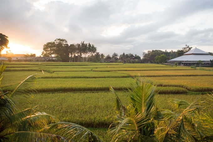<a href="https://truenaturetravels.com/locations/bali-ubud-yoga-retreat-center-and-resort/"><span style="font-weight: 600;"> Bali - Ubud</span> : Resort & Yoga Center</a>
