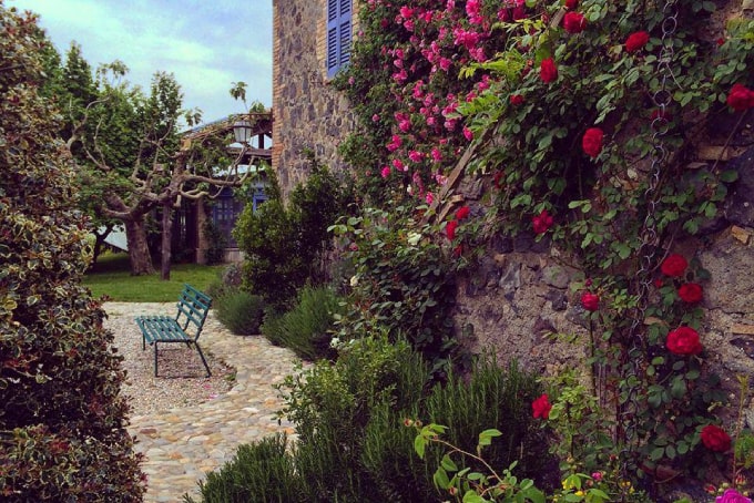 <a href="https://truenaturetravels.com/locations/italy-charming-umbria-retreat/"><strong>Italy - Umbria</strong> : Charming Umbria Retreat</a>