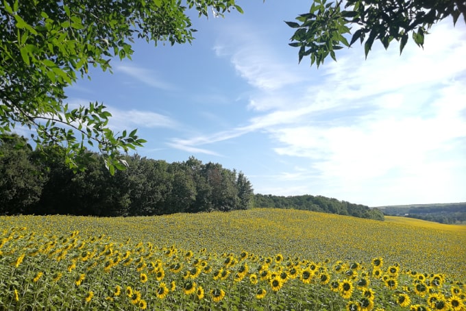 <a href="https://truenaturetravels.com/locations/france-french-countryside-retreat/"><strong>France</strong> : French Countryside Retreat</a>