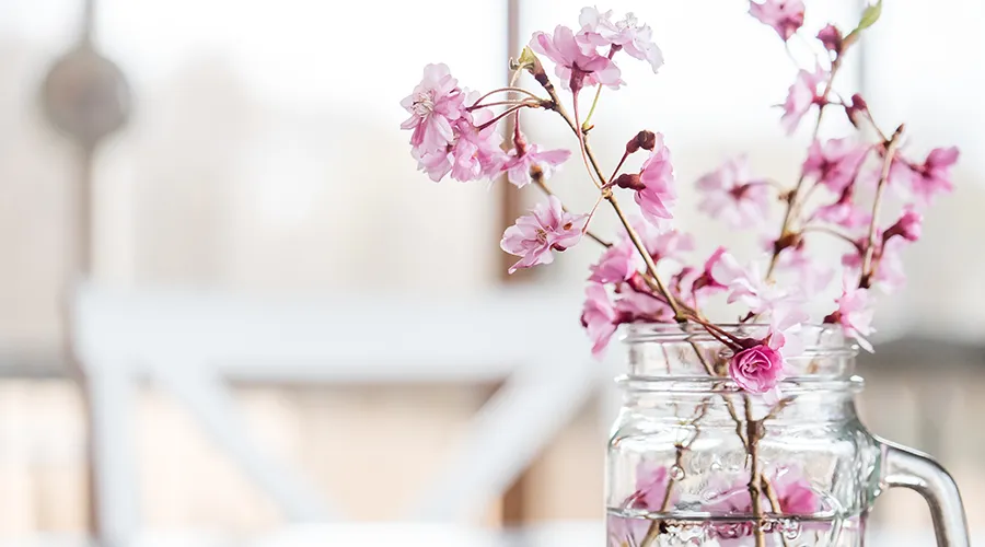 TNT-Blog-Spring 2026-3