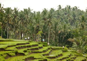 retreat-calendar-Ubud-2