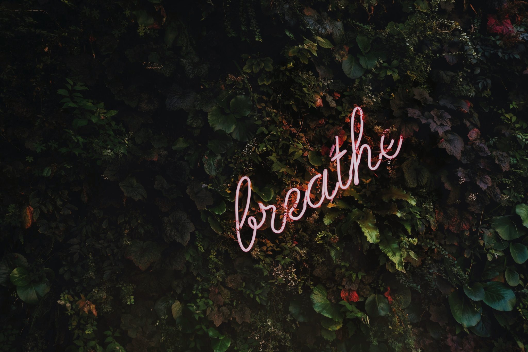 Maintain-Gratitude-holidays