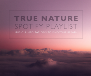 meditation playlist