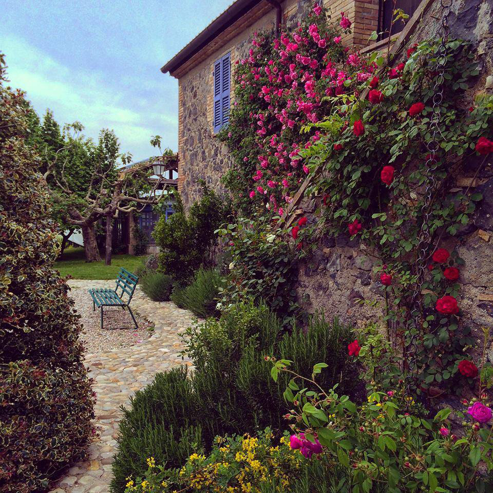 <a href="https://truenaturetravels.com/locations/italy-charming-umbria-retreat/"><strong>Italy - Umbria</strong> <br>
Charming Umbria Retreat</a>