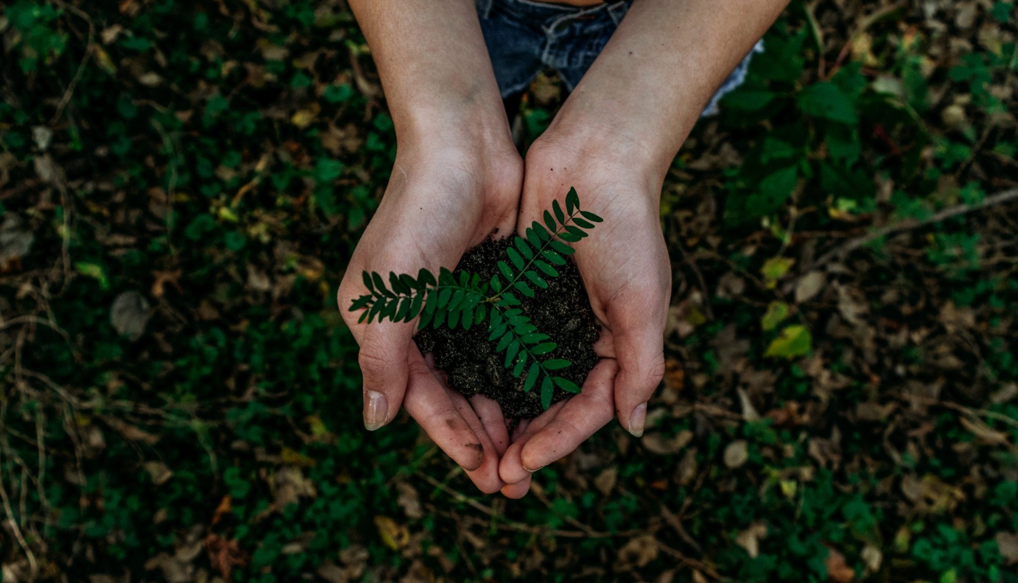 World Earth Day