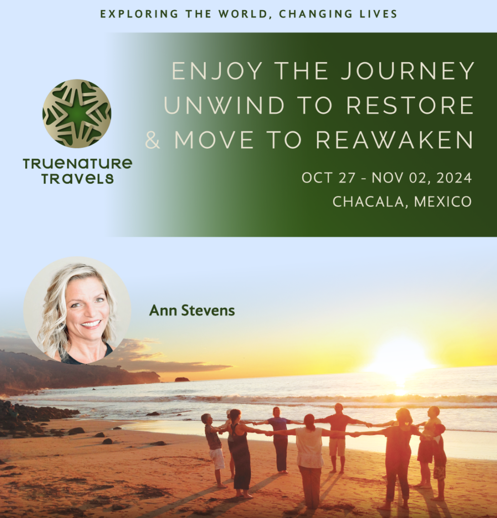 Meet the Teacher- Ann Stevens - True Nature Travels