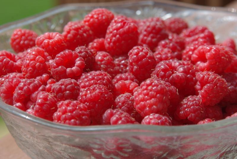 raspberries