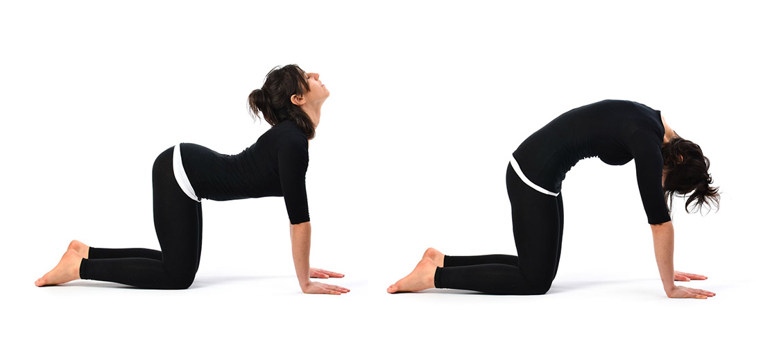 5 Stretches for Lower Back Pain Relief You Can Do Right Now - True